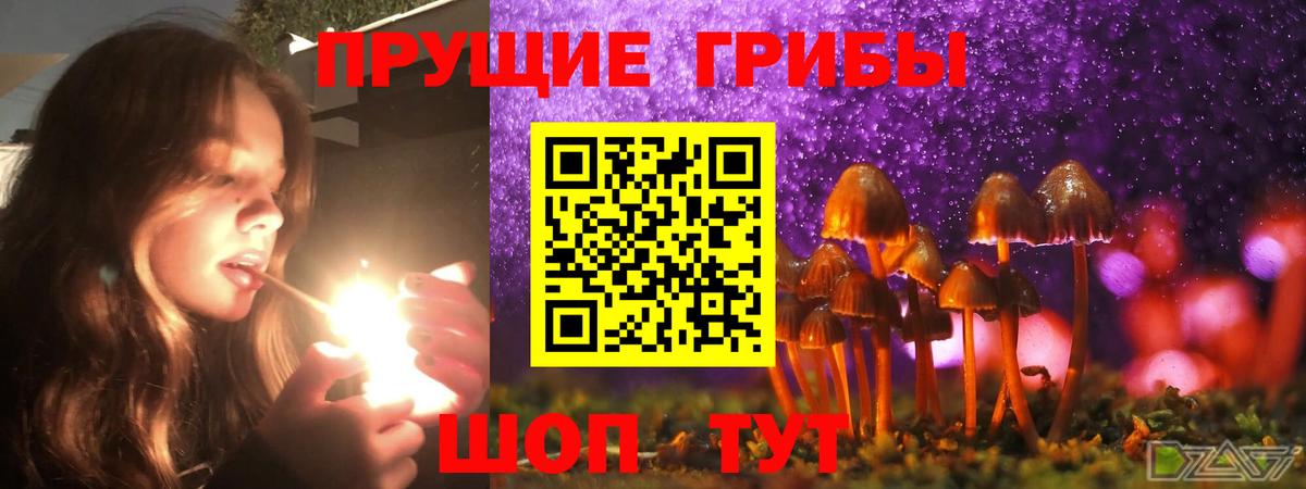 Галлюциногенные грибы Psilocybine cubensis Кумертау